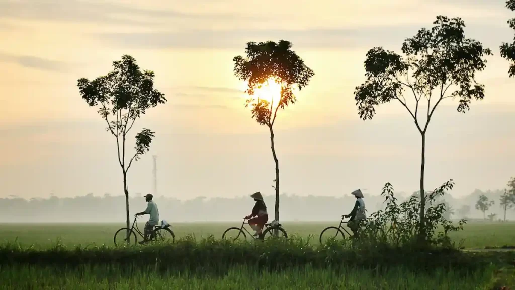 3. Indonesia