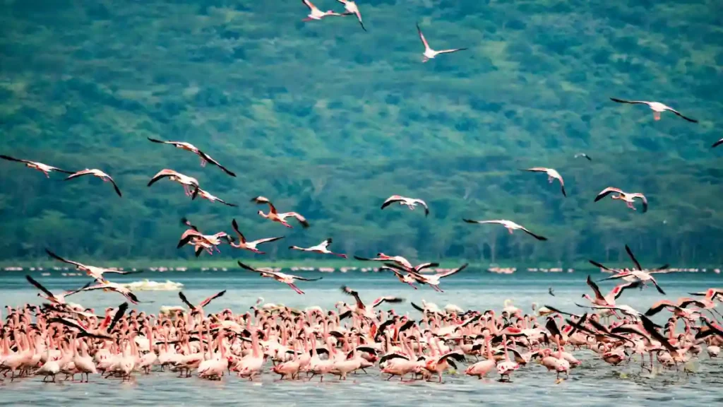 5. Kenya