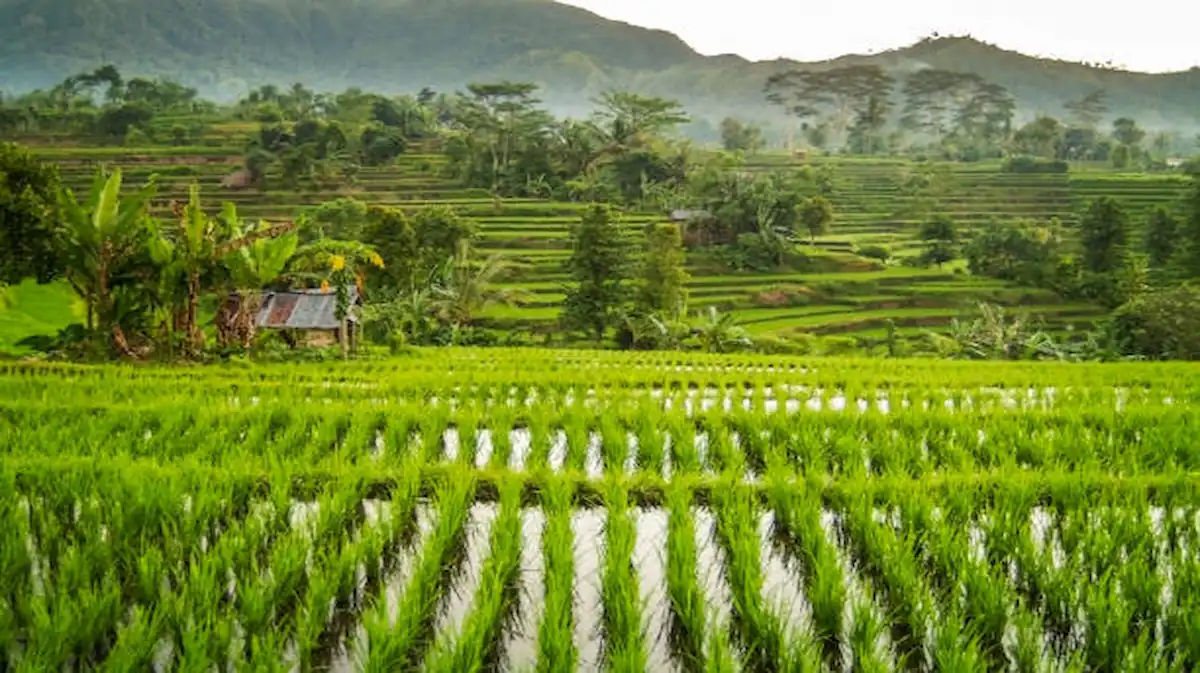7. Sidemen Valley – Authentic Bali Away from the Crowd
