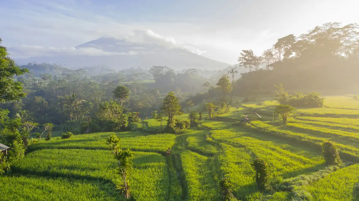 8 Best Places to See in Bali for Couples